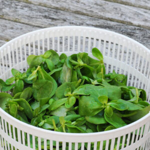 Curried Purslane Soup Recipe Image